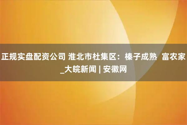 正规实盘配资公司 淮北市杜集区：榛子成熟  富农家_大皖新闻 | 安徽网